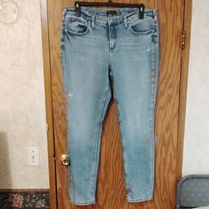 Silver Jeans Light Blue Skinny Jeans